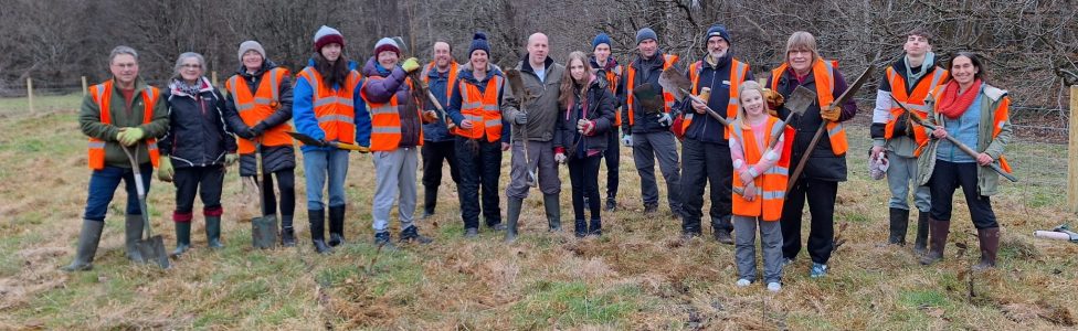 tree-planting