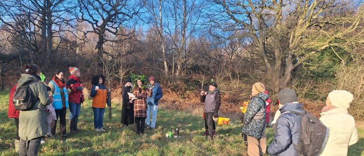 wassail
